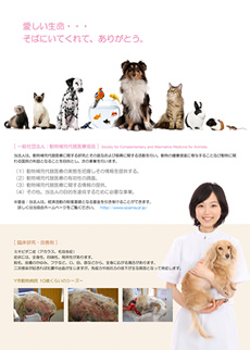 フライヤーデザイン制作 実績